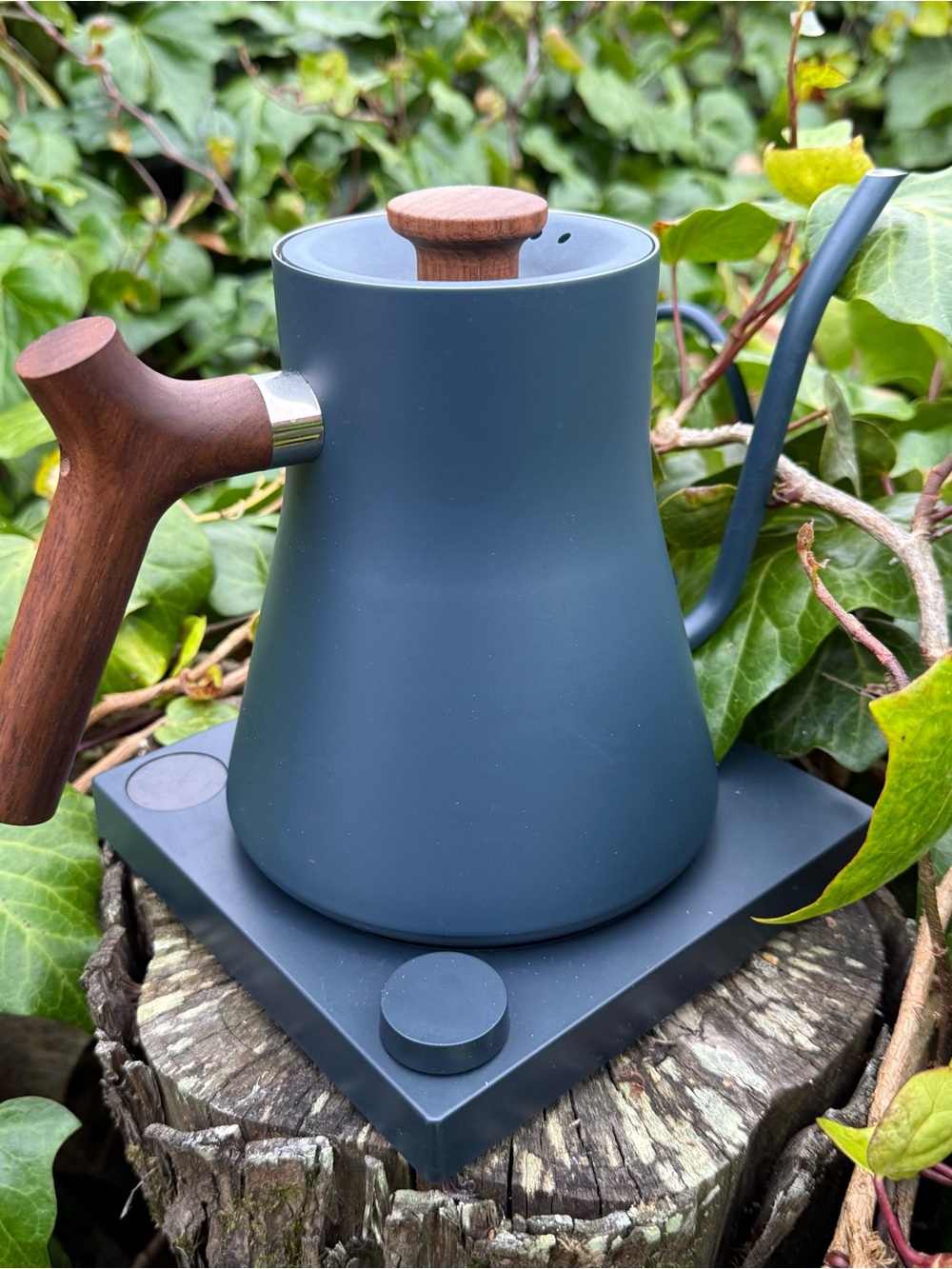 Fellow Stagg EKG Pro Electric Tea Kettle in Stone Blue with Walnut Accents